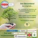 GRÜNE VALERIE® Original Aleppo Seife Set – 2 x 200g Handgemachte Naturseife