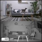 Reolink Argus Pro Akku WLAN Überwachungskamera – Bild 6