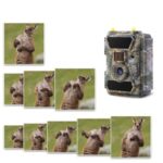 CREATIVE XP, 4G Wildkamera mit SIM-Karte sendefähig (GPRS, GSM, UMTS / 4G) – Bild 9