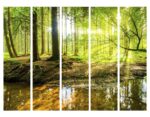 murando Raumteiler Wald Baum Natur Foto – Bild 4