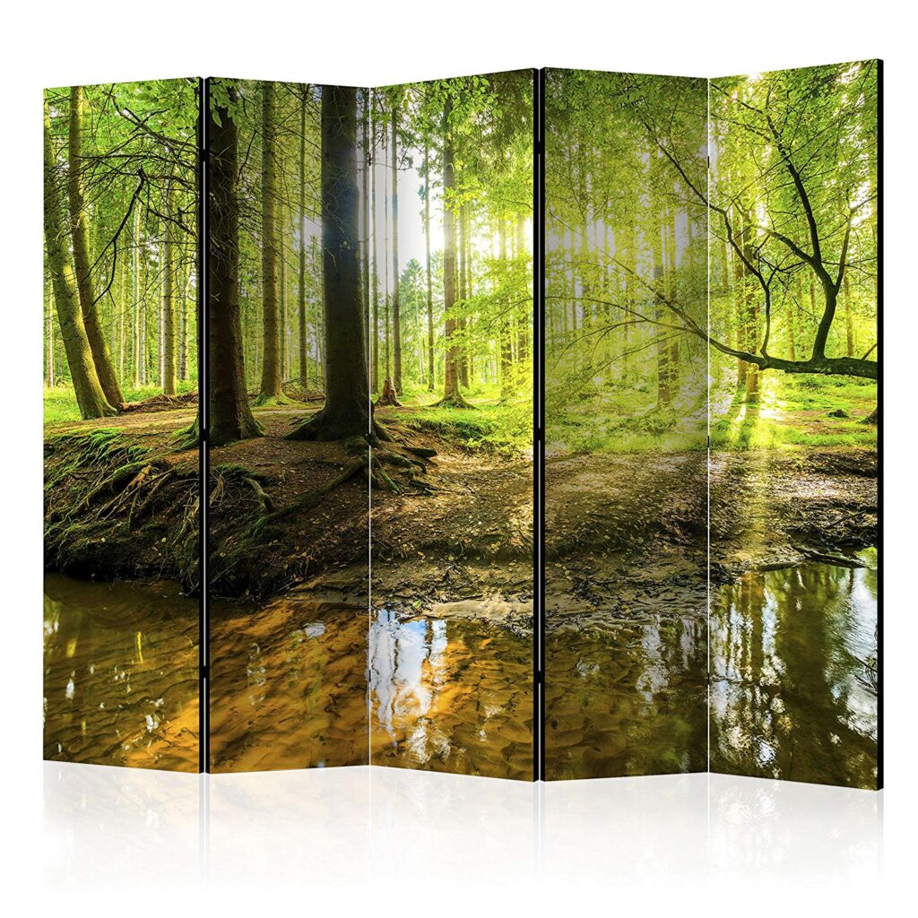 murando Raumteiler Wald Baum Natur Foto