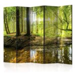 murando Raumteiler Wald Baum Natur Foto
