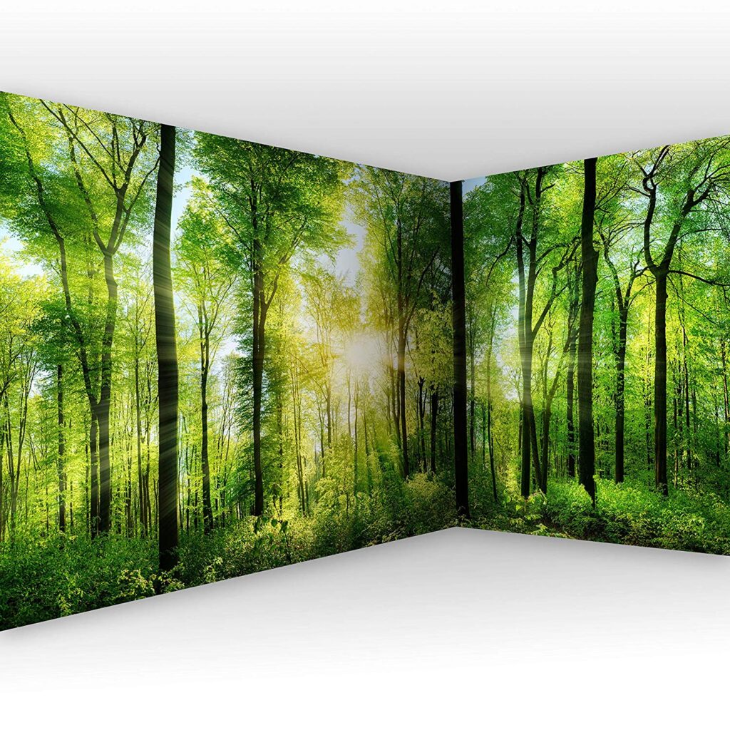 Wandtapete / Wald murando – Eckfototapete