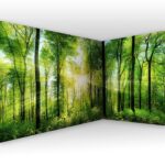 Wandtapete / Wald murando – Eckfototapete