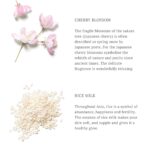 RITUALS The Ritual of Sakura Duschschaum, 200 ml – Bild 7