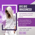 Der SIEGER - Anti-Gelbstich Purple Shampoo für blonde – Bild 4
