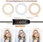 LED Ringlicht mit Stativ, 10 Zoll Dimmbare Ringleuchte. – Bild 2