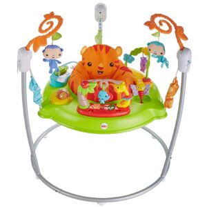 Fisher-Price CHM91 - Jumperoo Baby Hopser inkl. 12 Spielzeugen