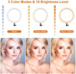 Tryone 12 Zoll LED Ring light 3 Lichtfarbe 2800 bis 6500K – Bild 2