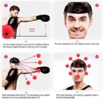 OOTO Boxing Reflex Ball – Bild 4