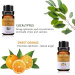 Ätherische Öle Set, 100% Reines naturrein Aroma-Öl, 6 tlg – Bild 2