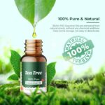 Ätherische Öle Set für Diffuser 12 x 10ml | 8 x 10ml - 100% Naturrein Aroma Diffuser Aromatherapie Öl Aromaöl Duftöle - Essential Oils – Bild 8