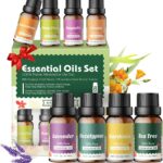 Ätherische Öle Set für Diffuser 12 x 10ml | 8 x 10ml - 100% Naturrein Aroma Diffuser Aromatherapie Öl Aromaöl Duftöle - Essential Oils
