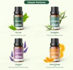 Ätherische Öle Set für Diffuser 12 x 10ml | 8 x 10ml - 100% Naturrein Aroma Diffuser Aromatherapie Öl Aromaöl Duftöle - Essential Oils – Bild 2