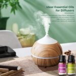 Ätherische Öle Set für Diffuser 12 x 10ml | 8 x 10ml - 100% Naturrein Aroma Diffuser Aromatherapie Öl Aromaöl Duftöle - Essential Oils – Bild 4