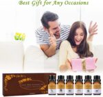 Ätherische Öle Set, 100% Reines naturrein Aroma-Öl, 6 tlg – Bild 5