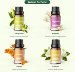Ätherische Öle Set für Diffuser 12 x 10ml | 8 x 10ml - 100% Naturrein Aroma Diffuser Aromatherapie Öl Aromaöl Duftöle - Essential Oils – Bild 5