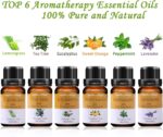 Ätherische Öle Set, 100% Reines naturrein Aroma-Öl, 6 tlg – Bild 6