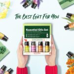 Ätherische Öle Set für Diffuser 12 x 10ml | 8 x 10ml - 100% Naturrein Aroma Diffuser Aromatherapie Öl Aromaöl Duftöle - Essential Oils – Bild 7