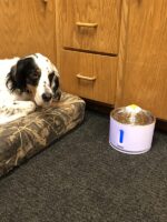 Aerb Katzen und Hunde Trinkbrunnen - 2,4L – Bild 10