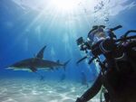 GoPro Schutzgehäuse für HERO8 Black (Offizielles GoPro Zubehör) – Bild 5