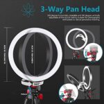 Neewer LED-Ringlicht mit 137,2 cm Stativ – Bild 3