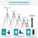 Neewer LED-Ringlicht mit 137,2 cm Stativ – Bild 2