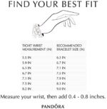 Pandora Moments Schlangen-Gliederarmband mit Herz-Verschluss – Bild 9