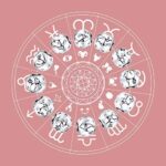 LaMenars Damen 12 Konstellationen Sternzeichen Stern Bead Charms 925 Sterling Silber Anhänger für Pandora, Chamilia  European Charm Armbänder  Halsketten – Bild 6