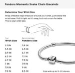Pandora Moments Schlangen-Gliederarmband – Bild 7