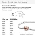 Pandora Moments Schlangen-Gliederarmband mit Herz-Verschluss – Bild 7
