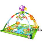 Fisher Price GXC35 - Rainforest Erlebnisdecke