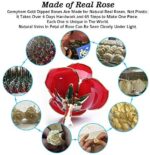Gomyhom 24k Gold Rose Handgefertigt – Bild 7