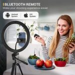 TONOR 12" Grosses Selfie Ringlicht – Bild 6