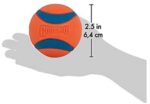 Ultra Ball für Hunde - CHUCKIT! – Bild 5