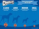 Ultra Ball für Hunde - CHUCKIT! – Bild 6