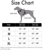 Hundegeschirr, Einstellbar für kleine und grosse Hunde – Bild 2