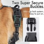 Hundegeschirr, Einstellbar für kleine und grosse Hunde – Bild 5