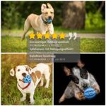 Hundeball mit Zahnpflege-Funktion Noppen Hundespielzeug PetPäl – Bild 2