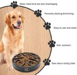 Hund Hundenapf Langsame Fütterung – Bild 5