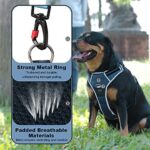 ThinkPet Anti-Zug Hundegeschirr - Reflektierend, Atmungsaktiv & Gepolstert – Bild 3