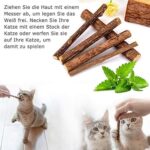 31 Stück Katzenspielzeug Set – Bild 5