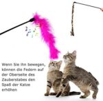 31 Stück Katzenspielzeug Set – Bild 4