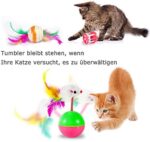 31 Stück Katzenspielzeug Set – Bild 8