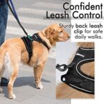 Hundegeschirr, Einstellbar für kleine und grosse Hunde – Bild 6