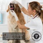Hundeball mit Zahnpflege-Funktion Noppen Hundespielzeug PetPäl – Bild 4