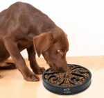 Hund Hundenapf Langsame Fütterung – Bild 8