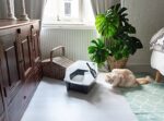 Iris Ohyama, Katzentoilette / Katzenklo – Bild 3