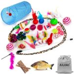 31 Stück Katzenspielzeug Set