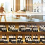 Argan Deluxe Shampoo in Friseur-Qualität – Bild 8